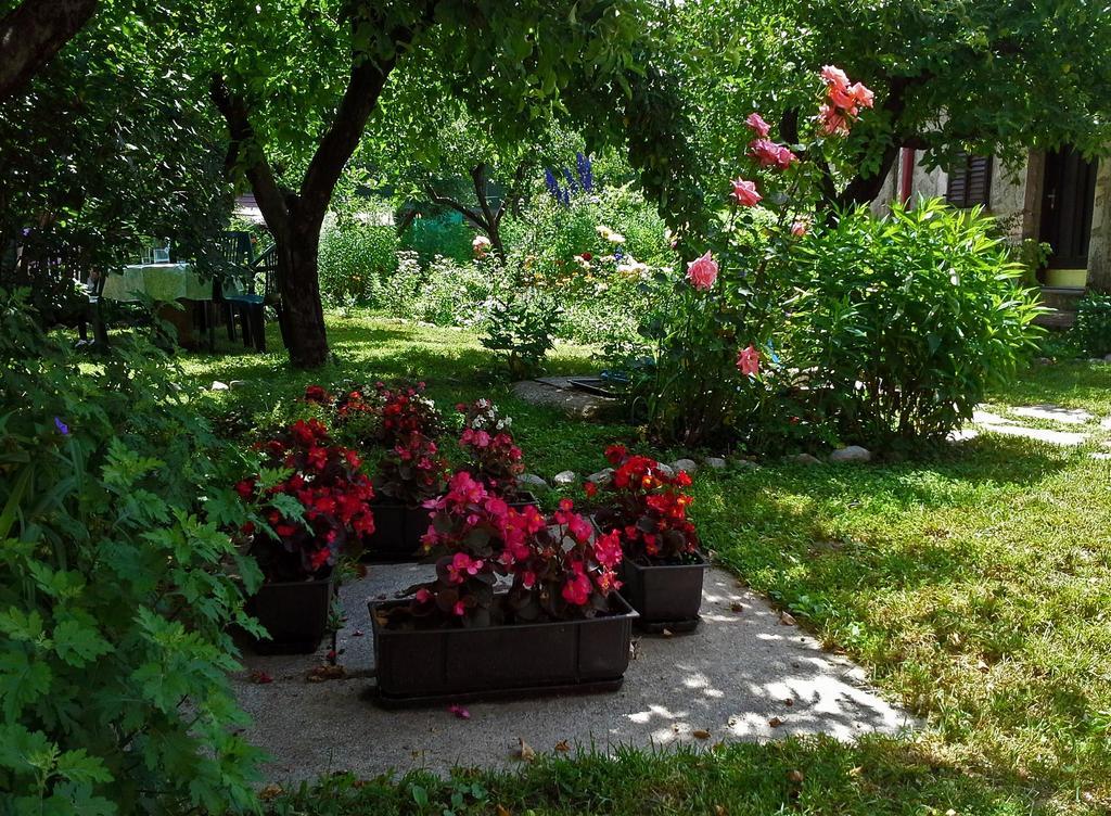 La Vecchia Casa Hotel Cetinje Buitenkant foto