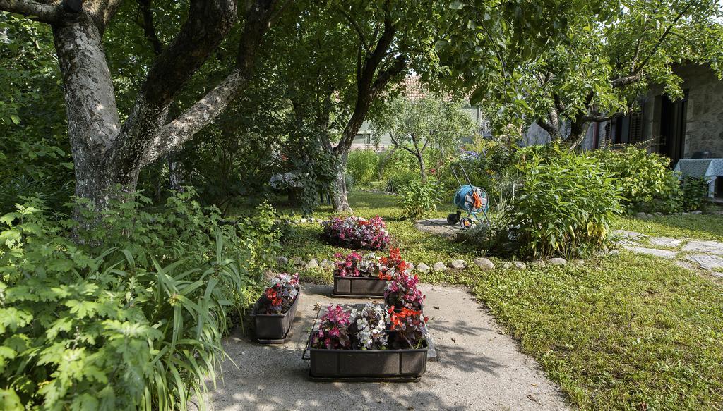 La Vecchia Casa Hotel Cetinje Buitenkant foto