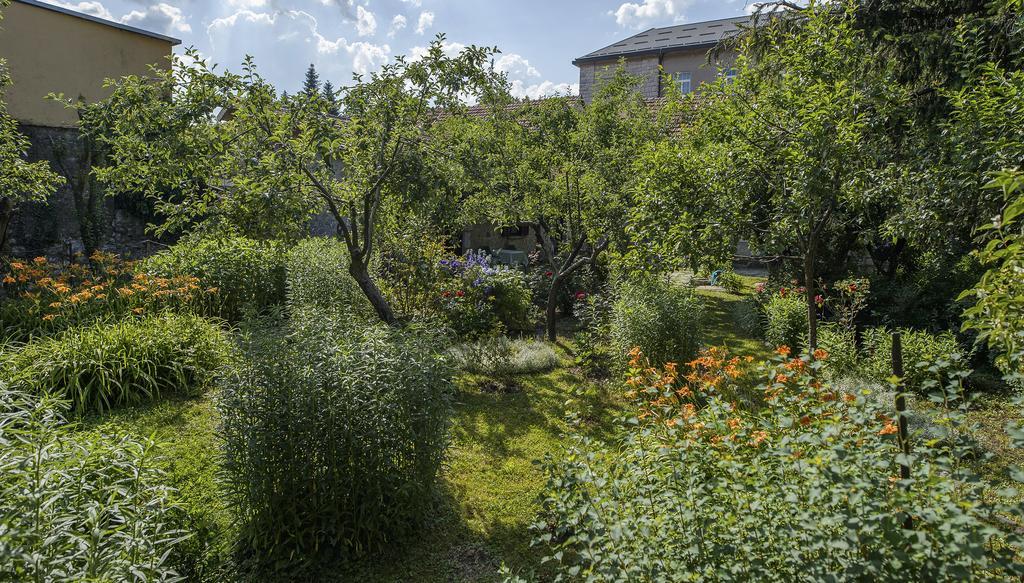 La Vecchia Casa Hotel Cetinje Buitenkant foto